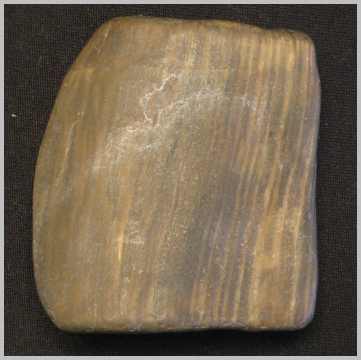 Petrified Wood
