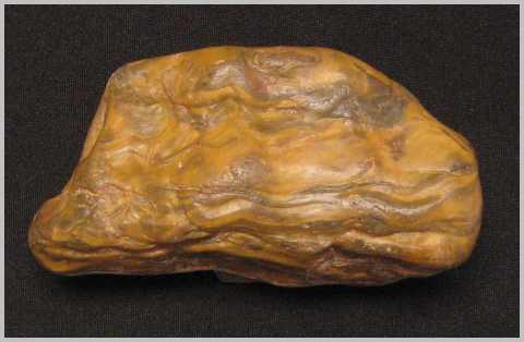 Petrified Wood